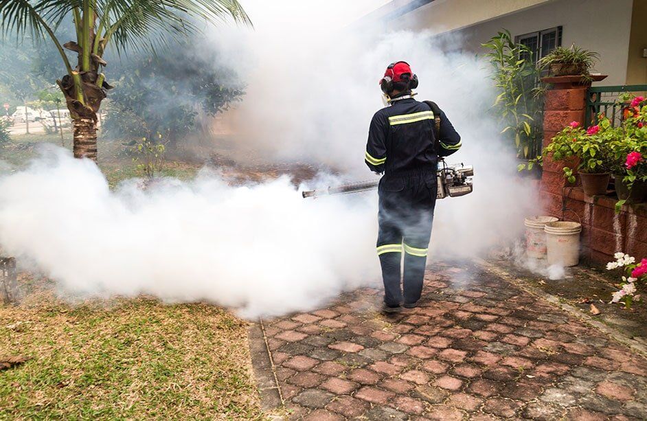 Fumigaciones Suricato hombre fumigando