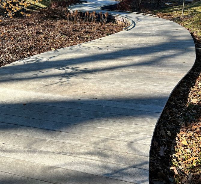 Curving concrete sidewalk through a wooded area with sunlight and shadows