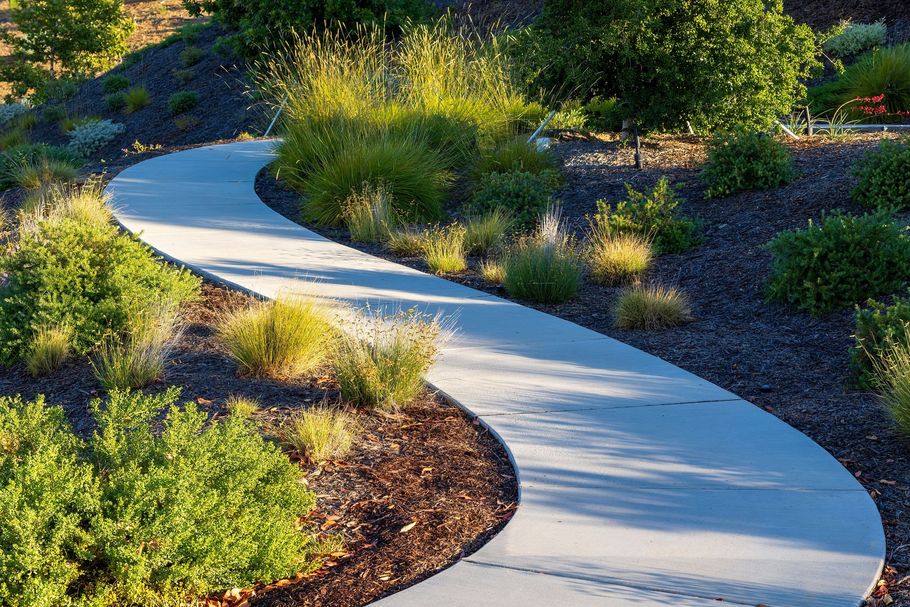 Curving concrete garden path bordered by green shrubs and warm sunlight
