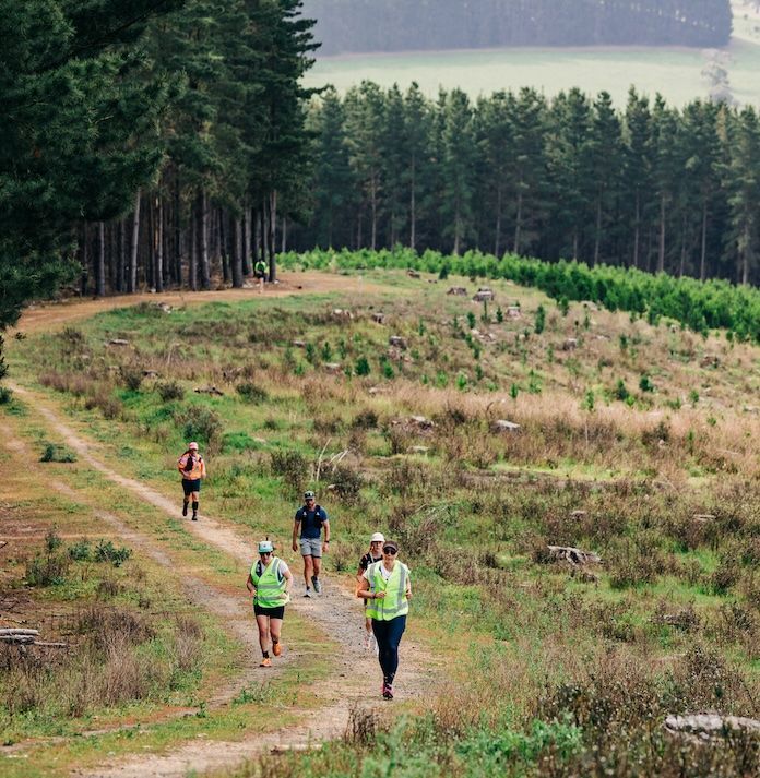 One of the most iconic events in South Australia, the Heysen Trail Ultra follows the historic Heysen Trail through pine forests, fields and bushland. Finishing at Victor Harbor on the South Coast, the race takes in some of the best countryside of the Southern Hills Region and the Fleurieu Peninsular. There are a range of distances, from the 115km to the 13km, with the addition in 2025 of several multi-day options including a 100 miler. Its a race packed with scenery, camaraderie and the making of lifelong memories.