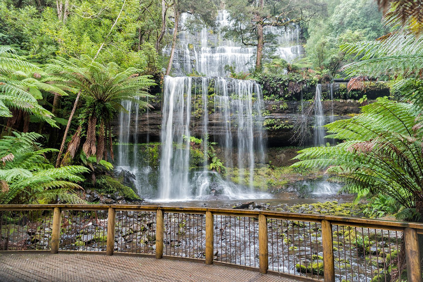 Russell Falls is an ideal beginners trail run –or just a whole heap of fun for the more experienced trail runner!! It takes in a couple of the most beautiful waterfalls in Tassie as well as some of Tassie's tallest trees. The trail is pretty much wheel chair standard, except for the stairs!