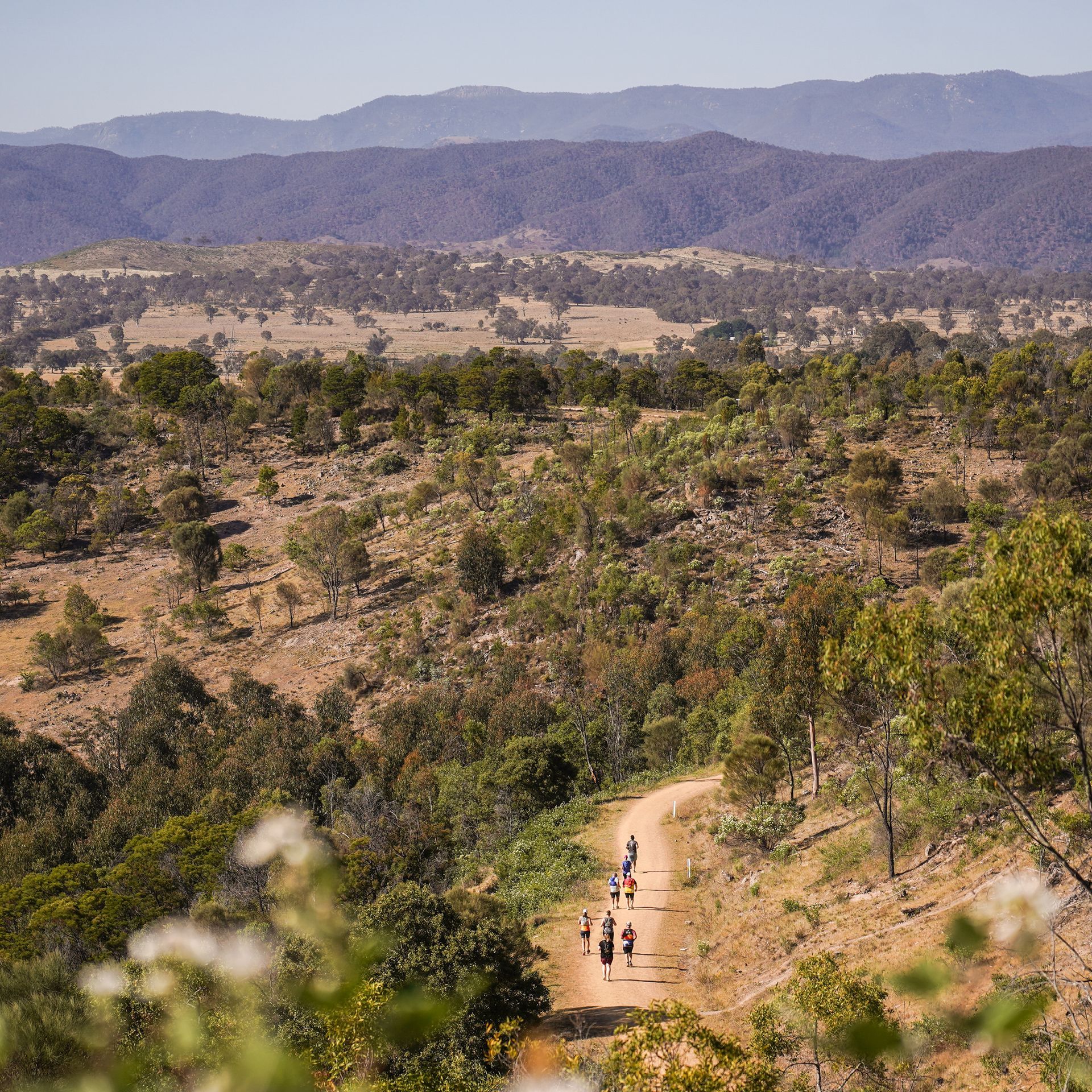 The Stromlo Running Festival, held annually in late November, is a cornerstone event on the Canberra running calendar promoting health, activity, and community connection. Runners of all levels can challenge themselves on scenic trails, with distances including 5km, 10km, 15km, 30km, a new marathon, and a kids' 2.5km cross country. Based at Stromlo Forest Park, it’s Canberra's largest trail running event.