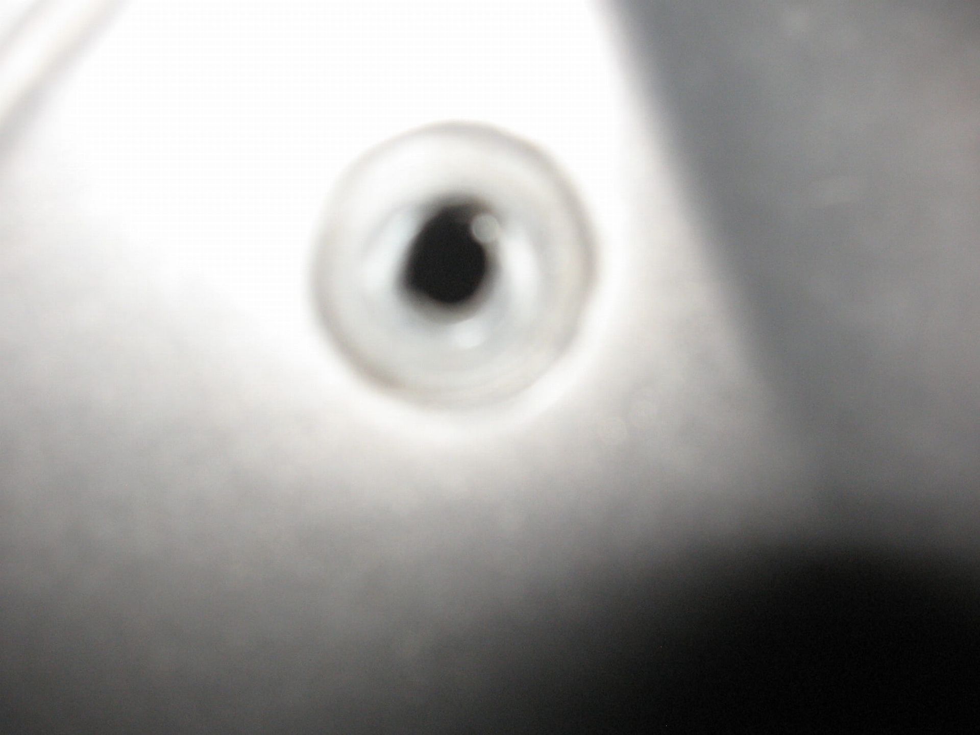 afdekplaat voorkant tank	St4s 2001-02 , st3 04-05	24721051BB