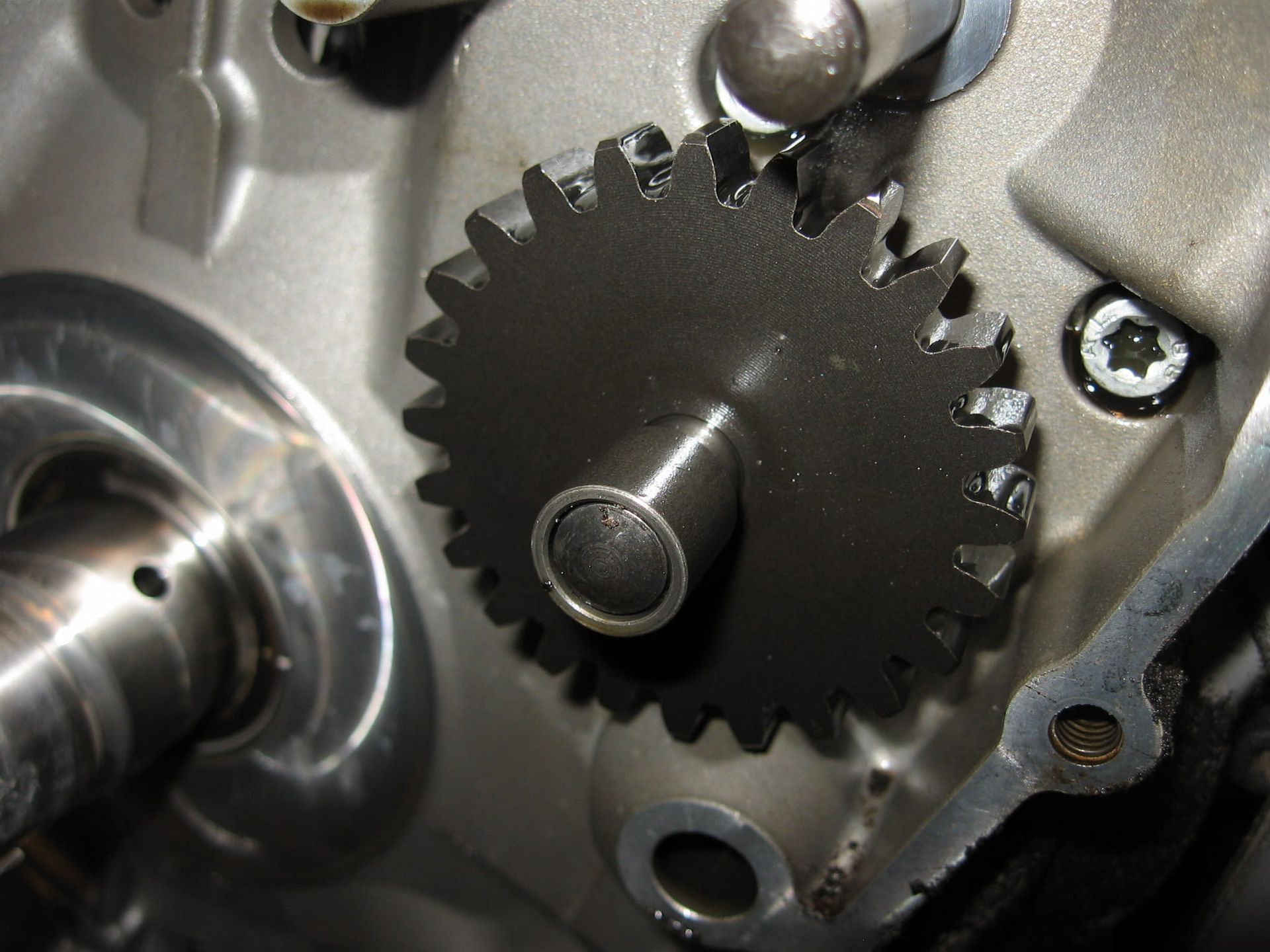 Tussentandwiel met busje , aandrijving startkoppeling 	F650gs 99-08 , dakar 00-07 , f650	12112343138	12117652918