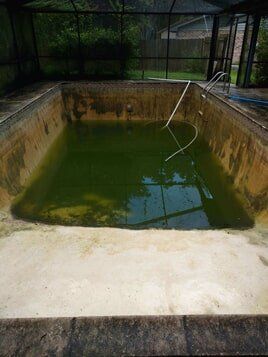 Dirty pool (Before) — heat pumps in Lakeland, FL