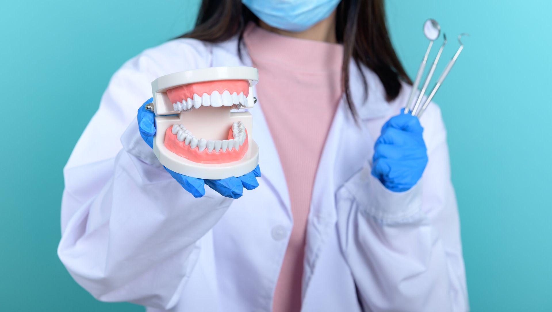 doctor holding model of teeth