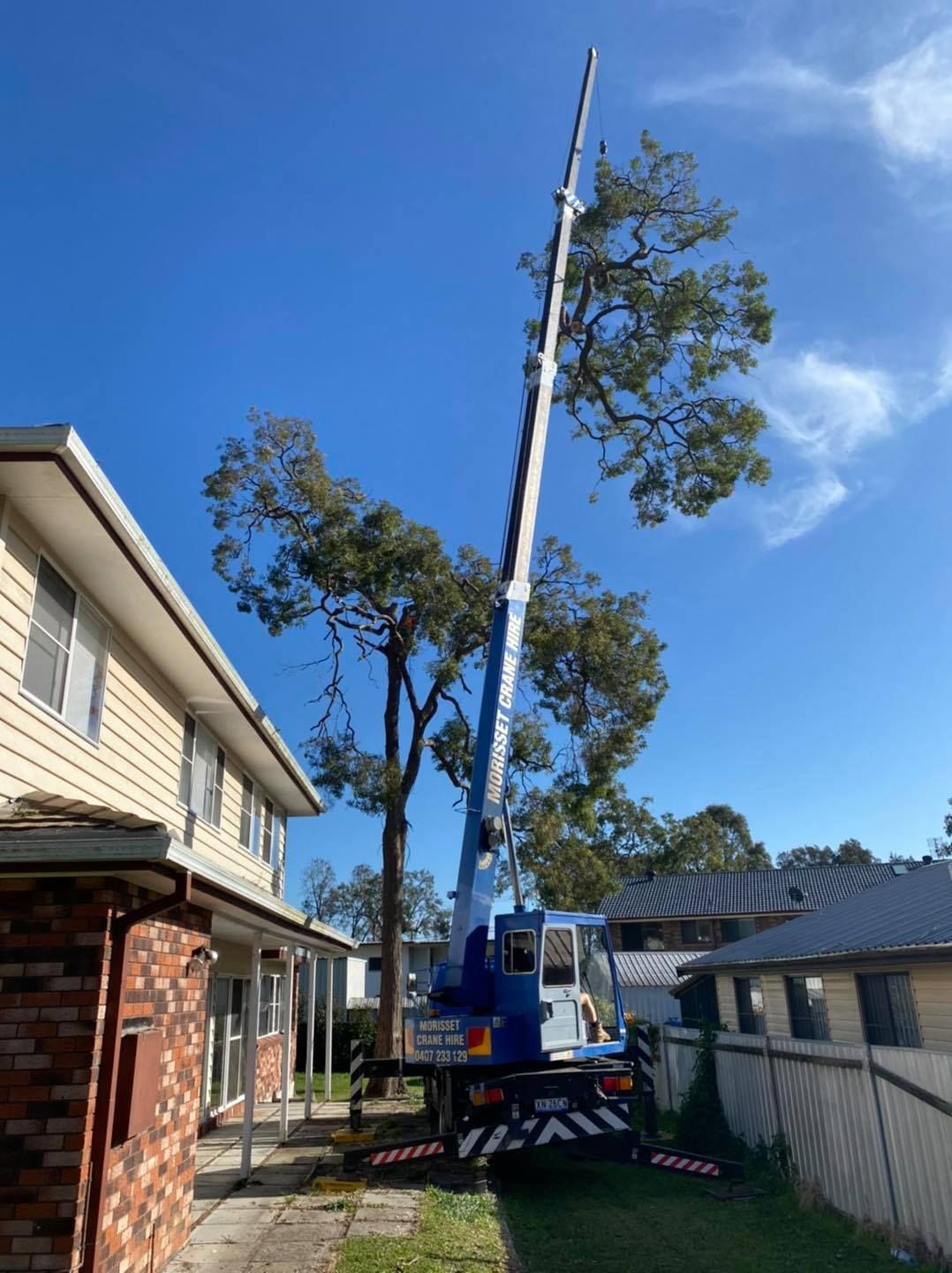 A Crane Cutting Down a Tall Tree Near a Two-story House on a Sunny Day — Chop n Drop Tree Specialists in Belmont, NSW