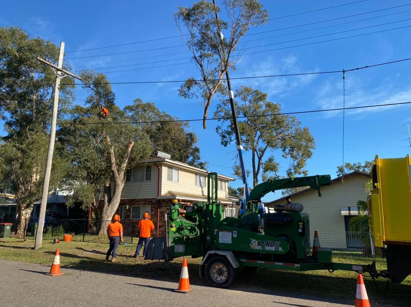 Tree Trimmers Working Near Power Lines With a Chipper on a Sunny Day — Chop n Drop Tree Specialists in Warners Bay, NSW