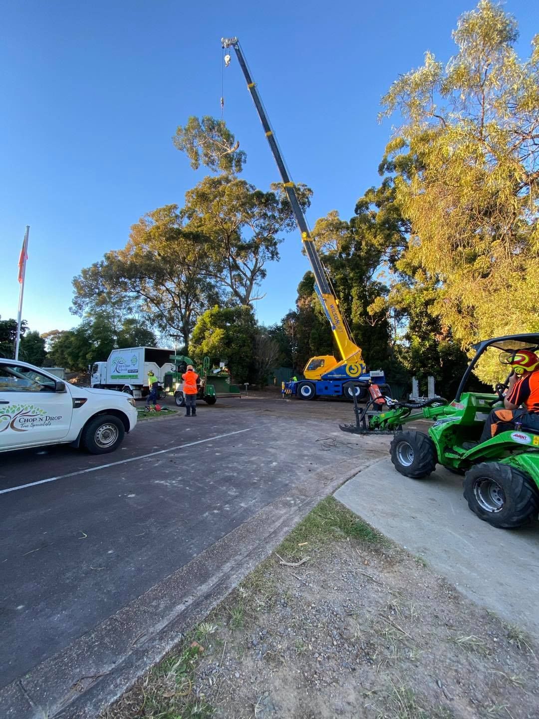 A Crane Removing a Tree in a Park, With Workers and Vehicles Present — Chop n Drop Tree Specialists in Belmont, NSW