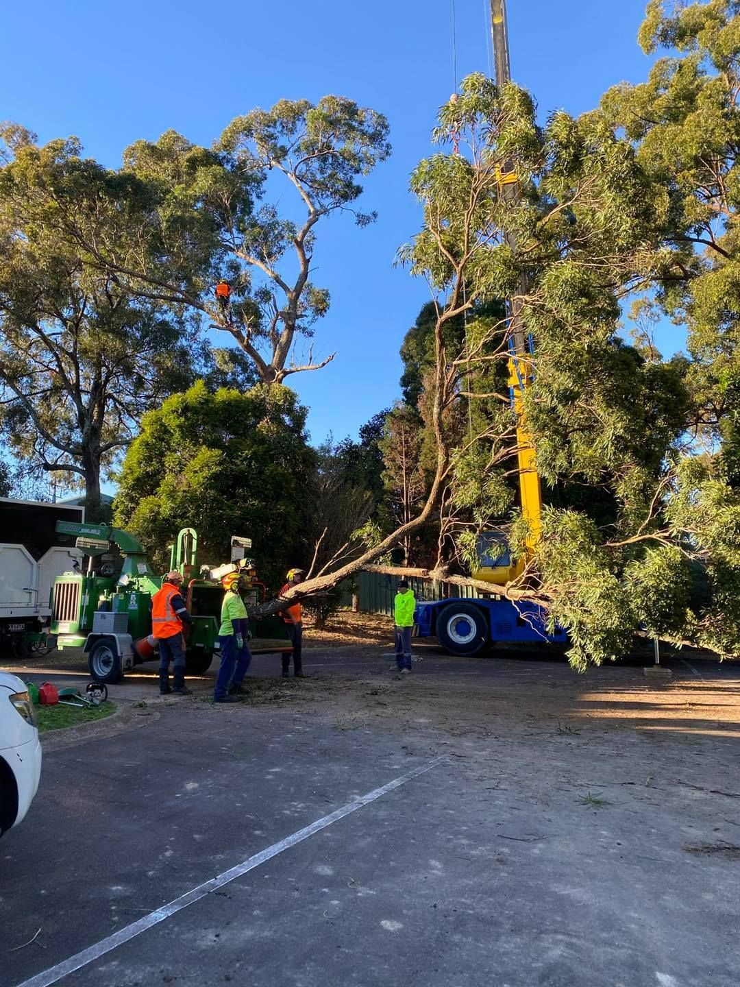 Tree Removal: Workers With Crane and Wood Chipper — Chop n Drop Tree Specialists in Lake Macquarie, NSW