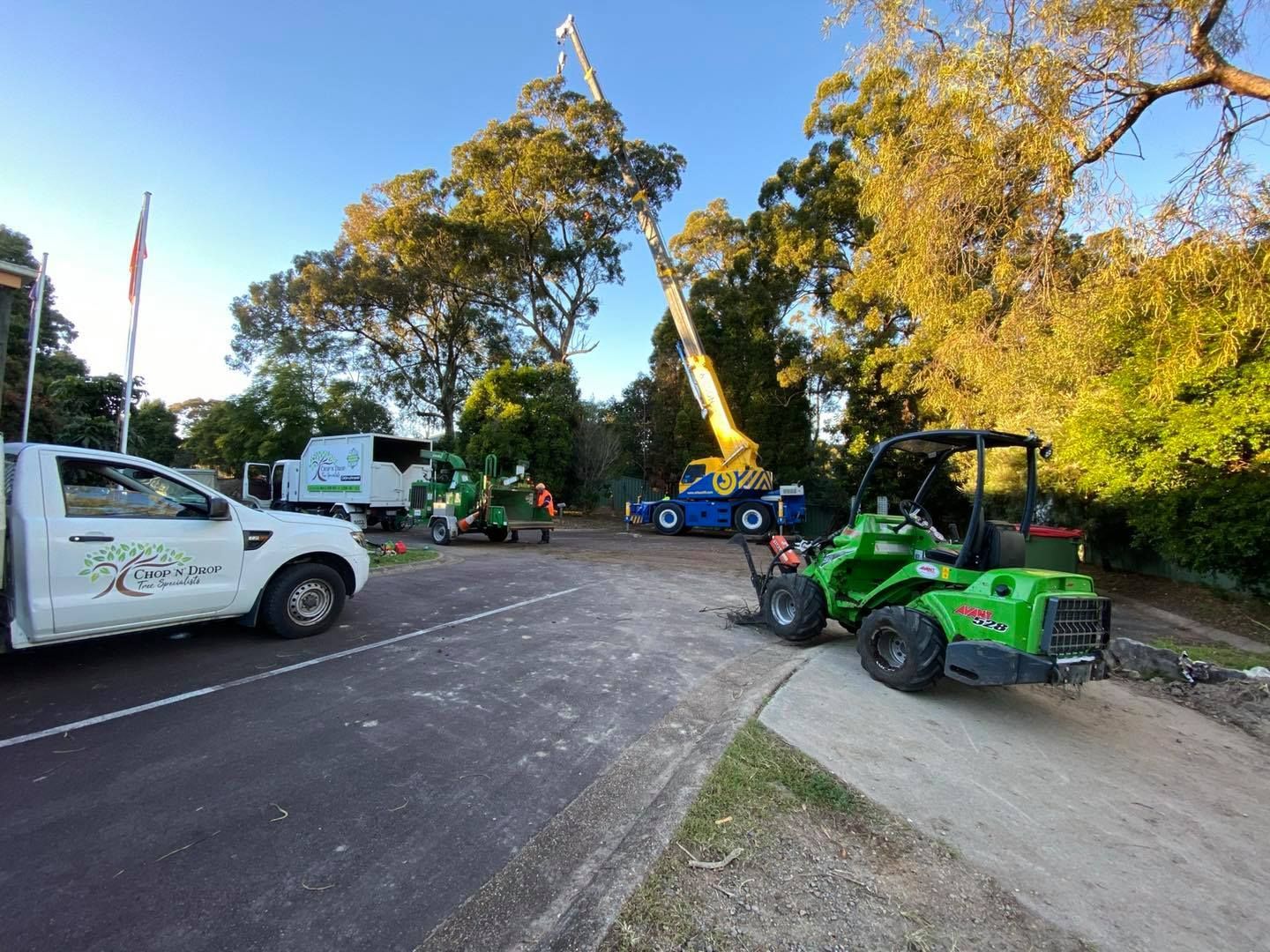 Tree Removal Crew With Lift Truck — Chop n Drop Tree Specialists in Charlestown, NSW