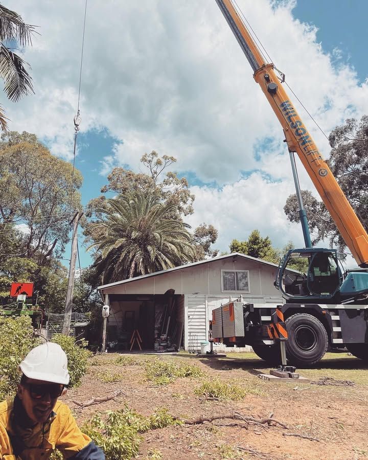 Crane Lifting Something Near a House — Chop n Drop Tree Specialists in Belmont, NSW