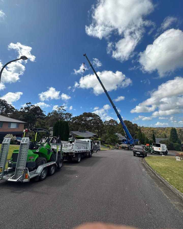 A Blue Crane Reaching Up Into a Sunny Sky — Chop n Drop Tree Specialists in Cameron Park, NSW