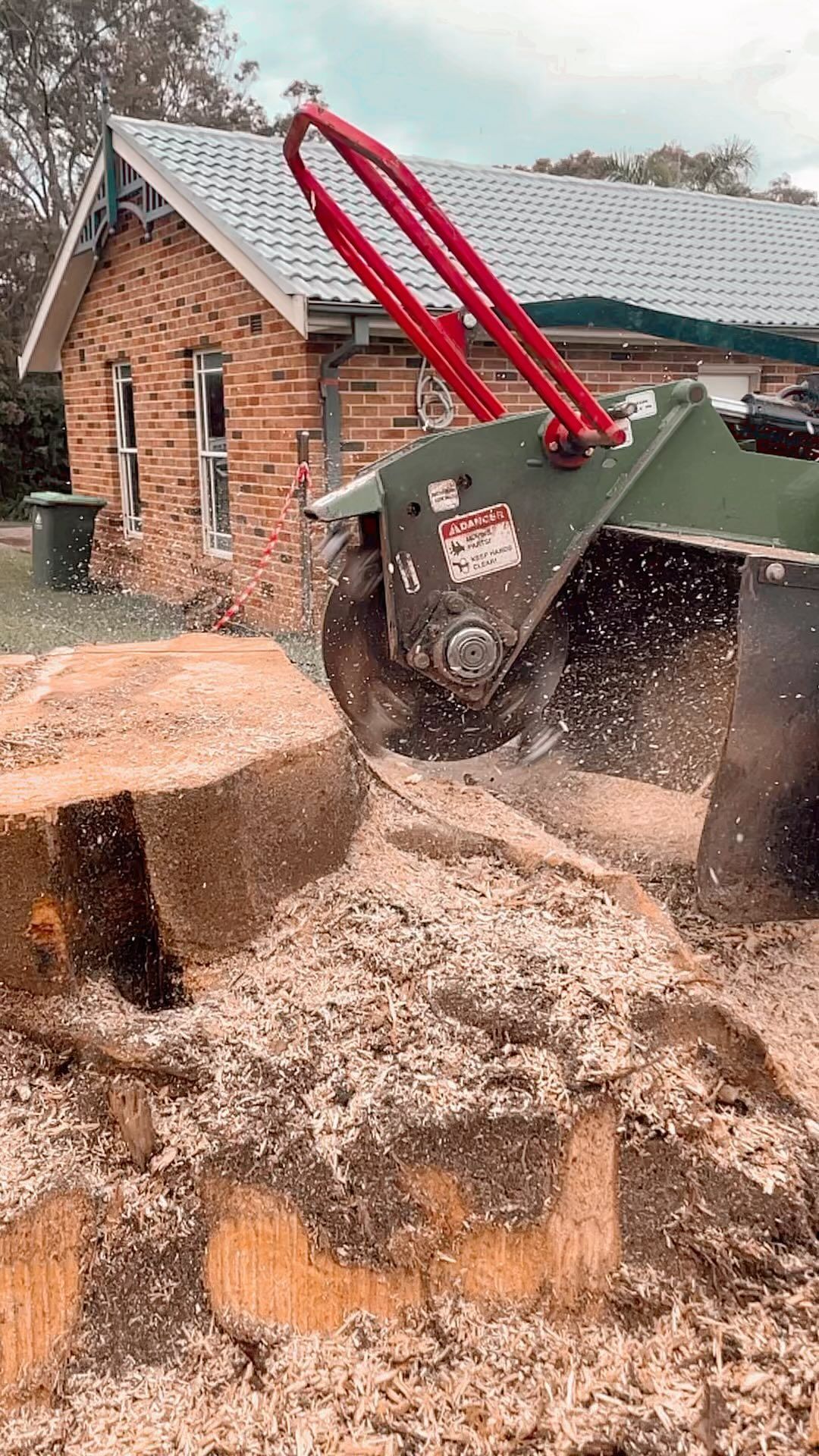 Stump Grinder at Work, Grinding Wood Into Sawdust — Chop n Drop Tree Specialists in Belmont, NSW