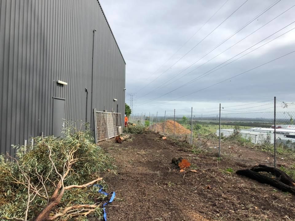 Dirt Clearing Next to a Large Gray Building — Chop n Drop Tree Specialists in Belmont, NSW