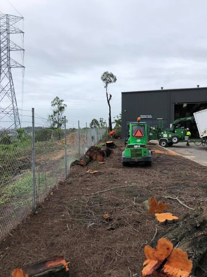 A Green Chipper, and Stump Grinder Are Near a Building — Chop n Drop Tree Specialists in Belmont, NSW