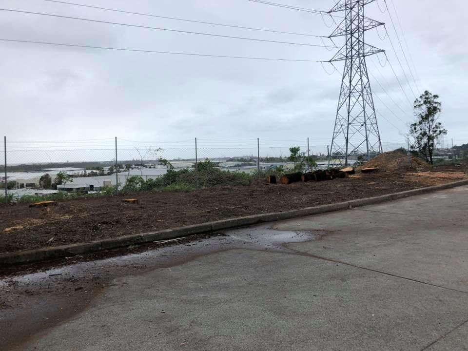 A Dirt Lot With Cut Trees, a Fence, Power Lines — Chop n Drop Tree Specialists in Belmont, NSW