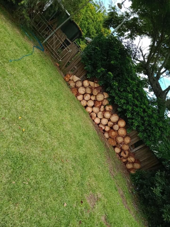 Pile of Cut Logs Stacked Against a Wooden Fence in a Grassy Yard — Chop n Drop Tree Specialists in Belmont, NSW
