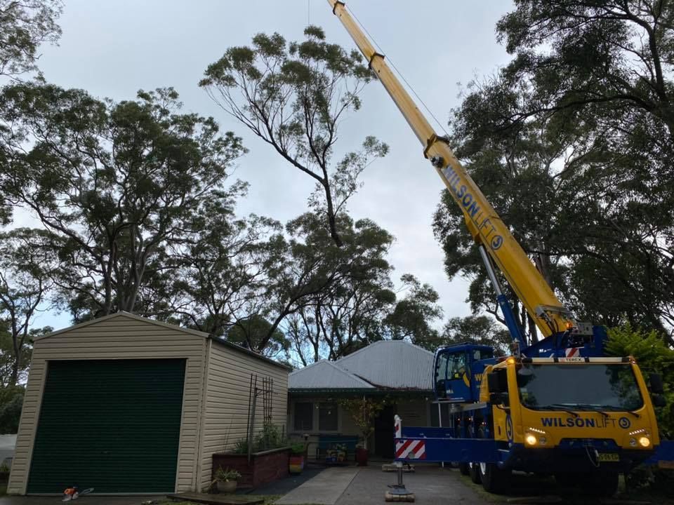 A Yellow Crane Removing a Tree Branch — Chop n Drop Tree Specialists in Belmont, NSW