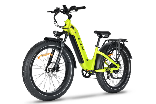 dyno electric bicycle JOBOBIKE GT Carbon Belt Bike  Garda (police) dyno check points