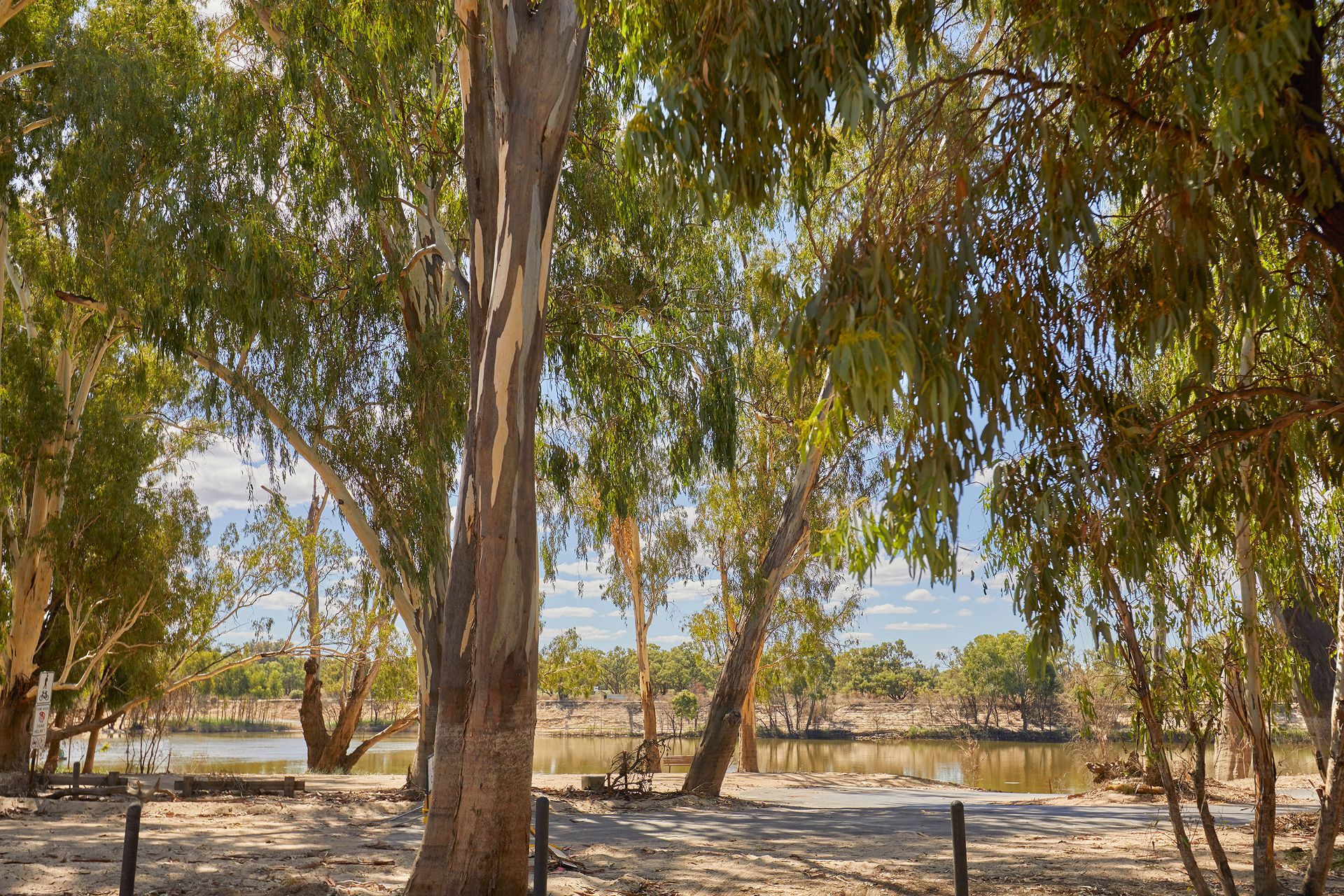 Apex Riverbeach Holiday Park natural landscape gum trees and water views
