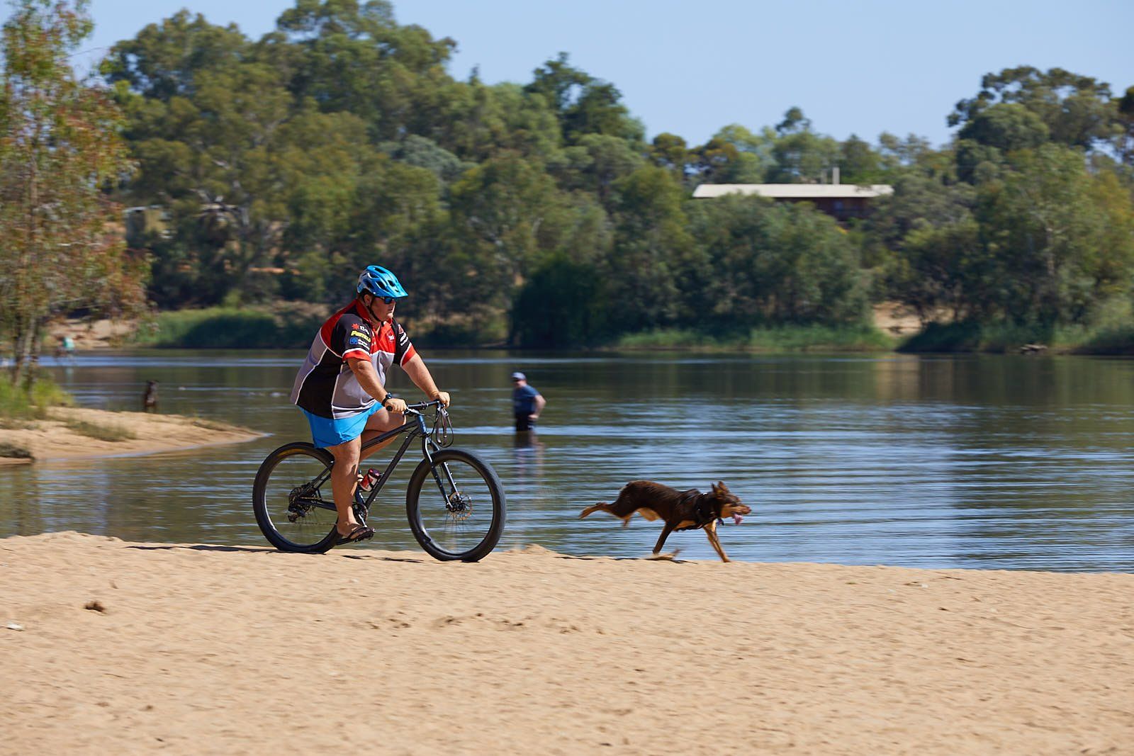 Apex Riverbeach Holiday Park direct beach access, play and exercise
