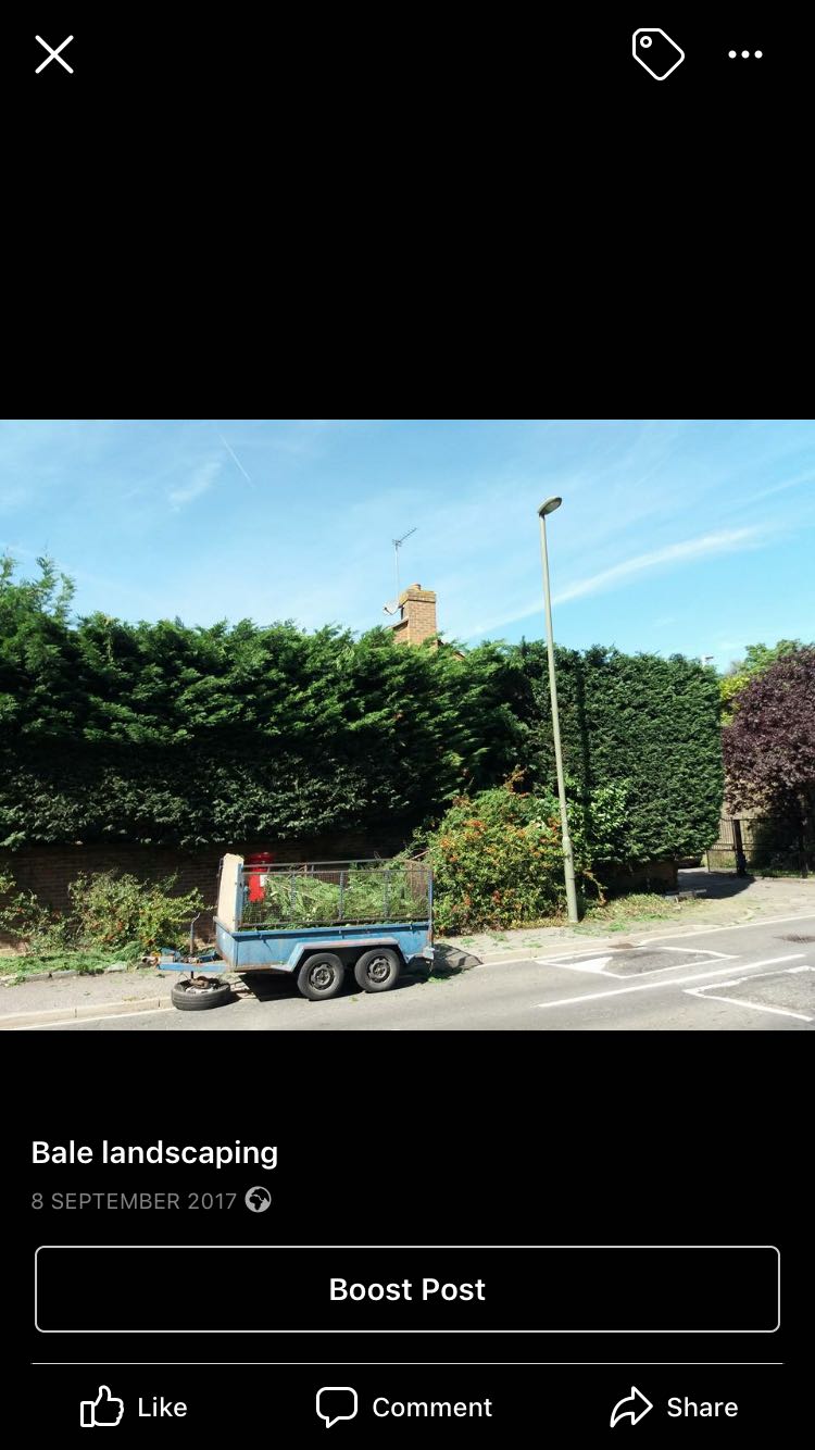 Hedge Cutting & Trimming