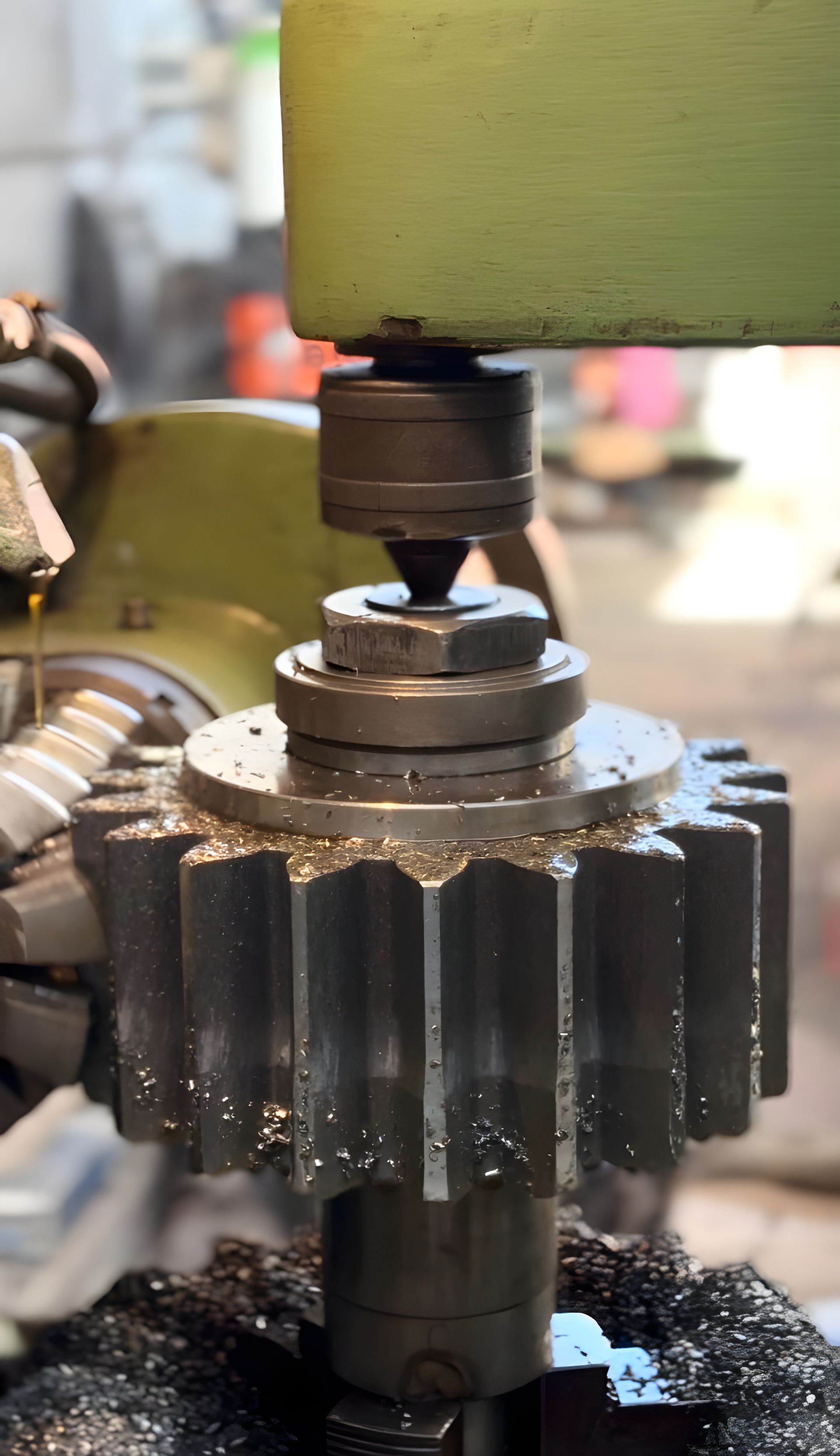 Ingranaggio a denti dritti di modulo 10