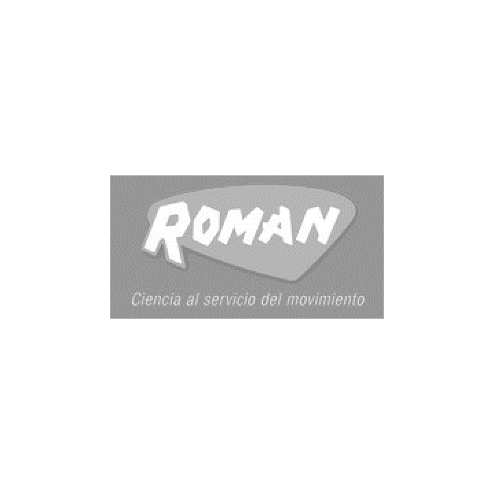 Logotipo de ROMAN, que presenta el nombre de la marca en una fuente estilizada sobre una forma gris con el texto 