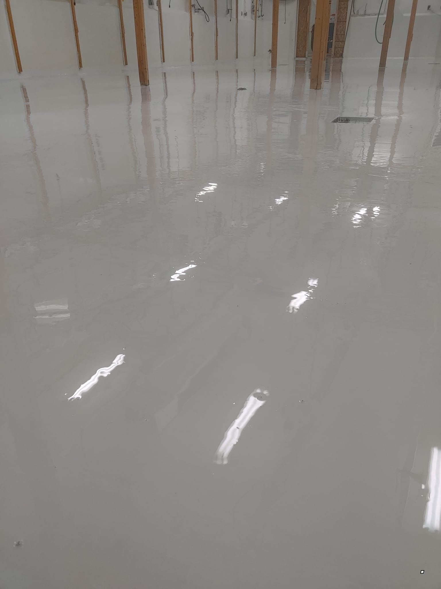 Un sol blanc avec beaucoup de reflets d'arbres dedans.