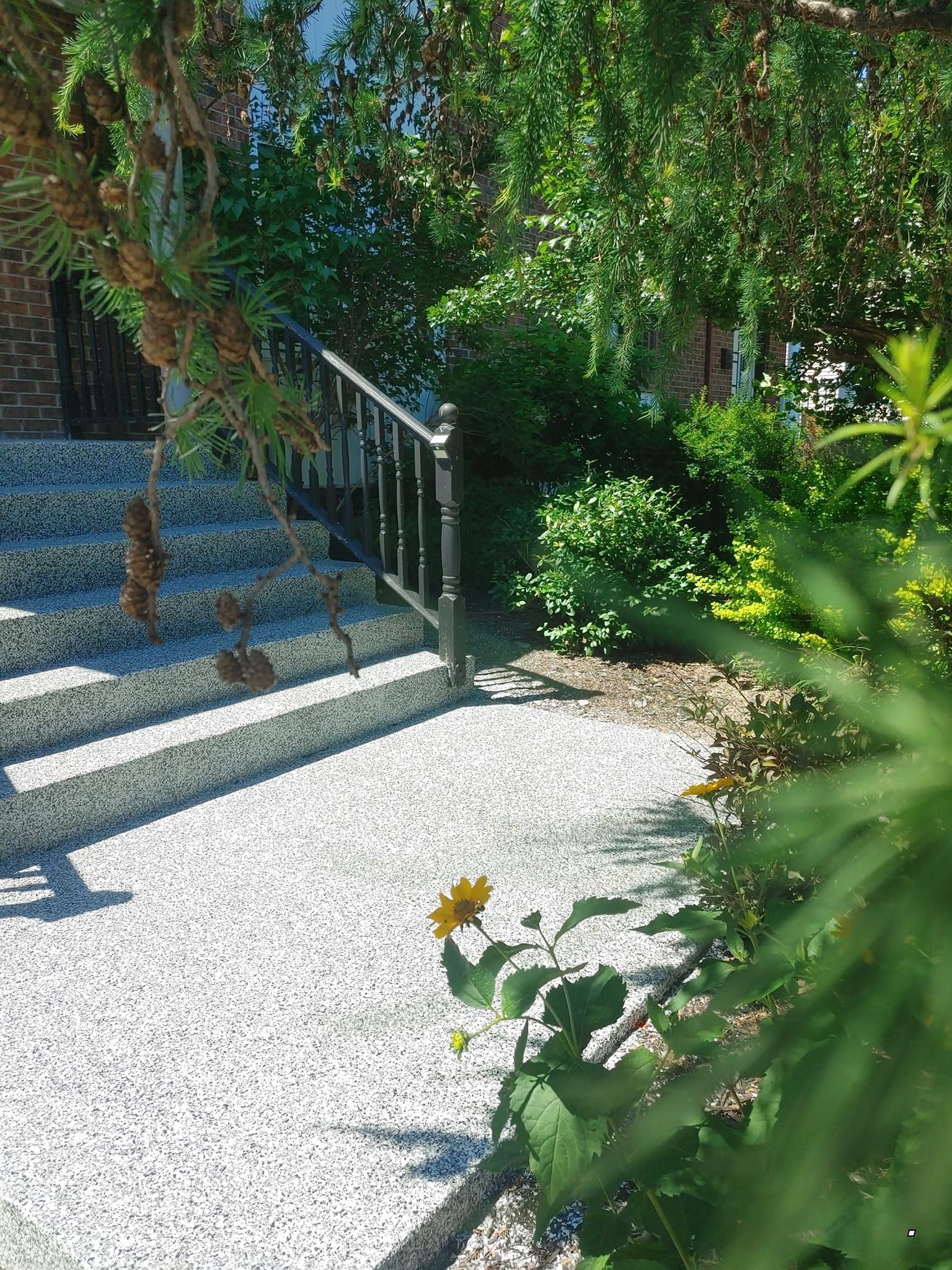 Un escalier dans un jardin avec une fleur jaune au premier plan