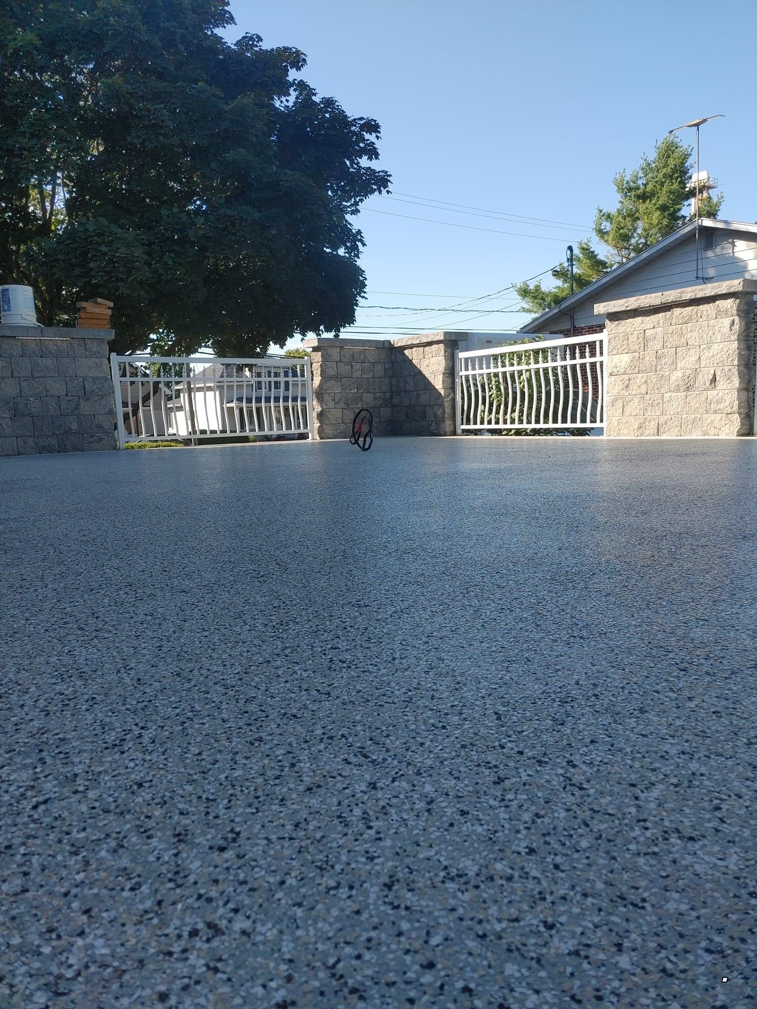 Un chat se tient debout sur une allée en béton devant une maison.