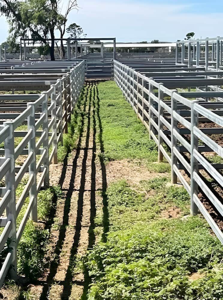A Row Of Fences Surrounding A Field Of Grass — PH Davie in Mount Isa, QLD