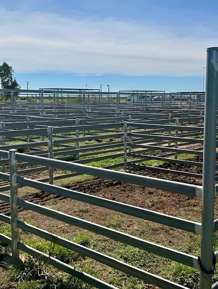 A Fenced In Area With A Lot Of Fences In It — PH Davie in Cloncurry, QLD