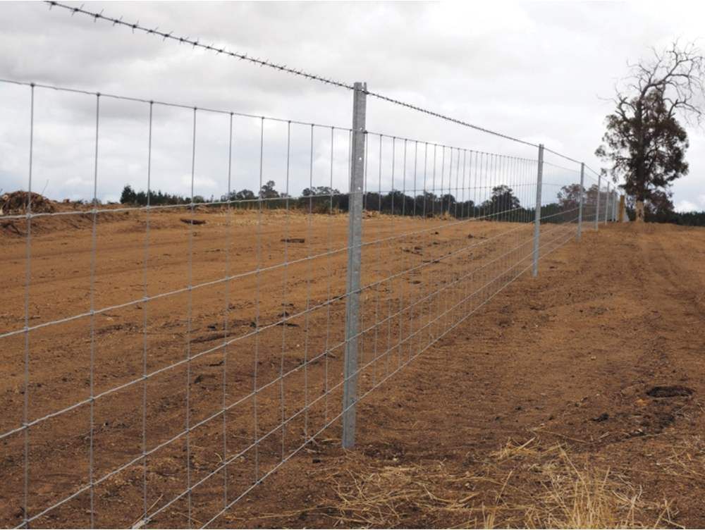 A Barbed Wire Fence In A Dry Grassy Field — PH Davie in Mount Isa, QLD