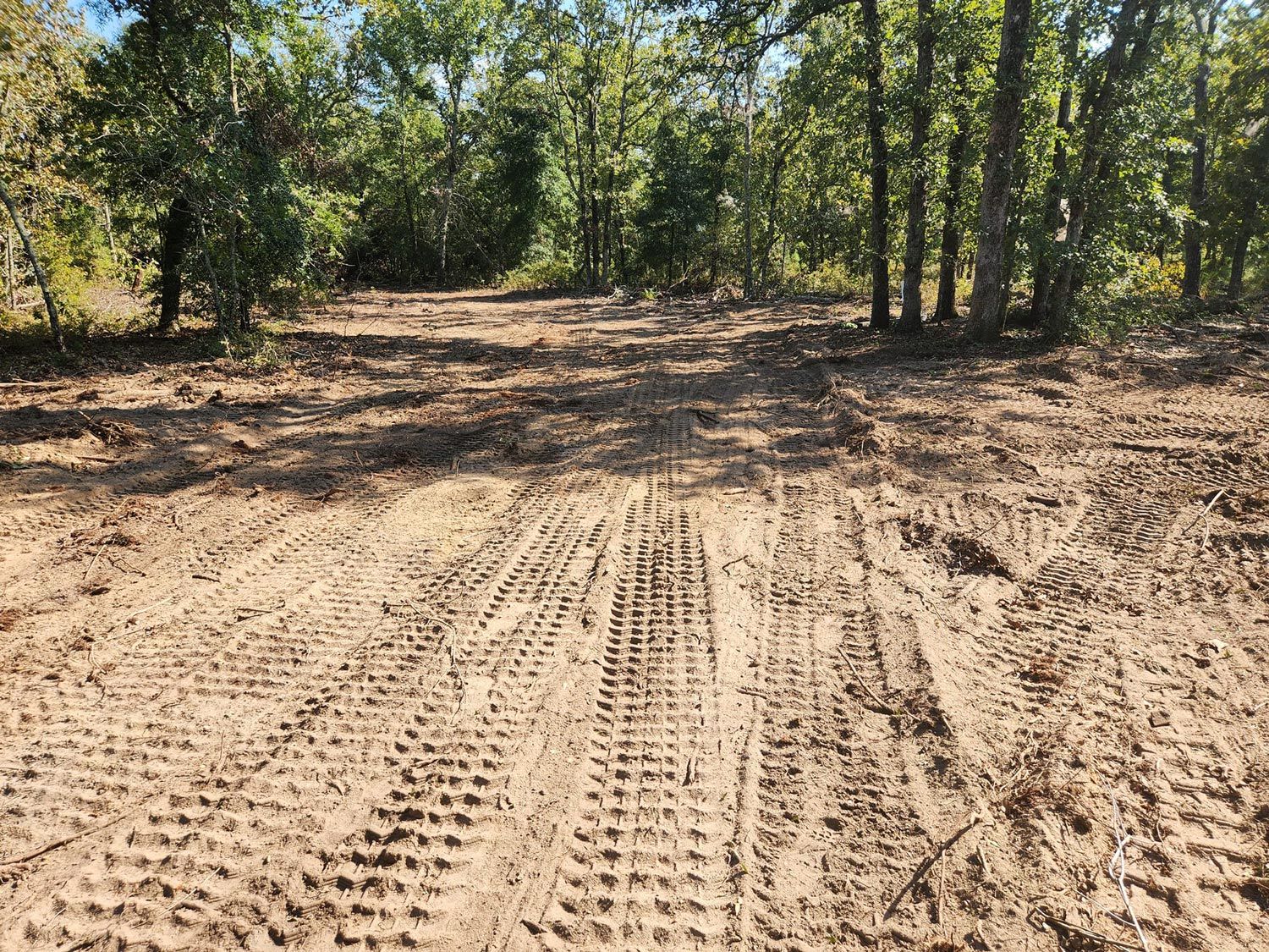 Clear Land — Pelion, SC — Hereford and Son LLC