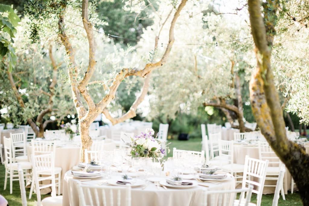 Una fila di tavoli e sedie allestita per un ricevimento di nozze sotto gli alberi.
