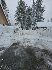 There is a lot of snow on the ground and trees in the background.