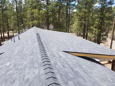 A roof with a row of arrows on it is surrounded by trees.