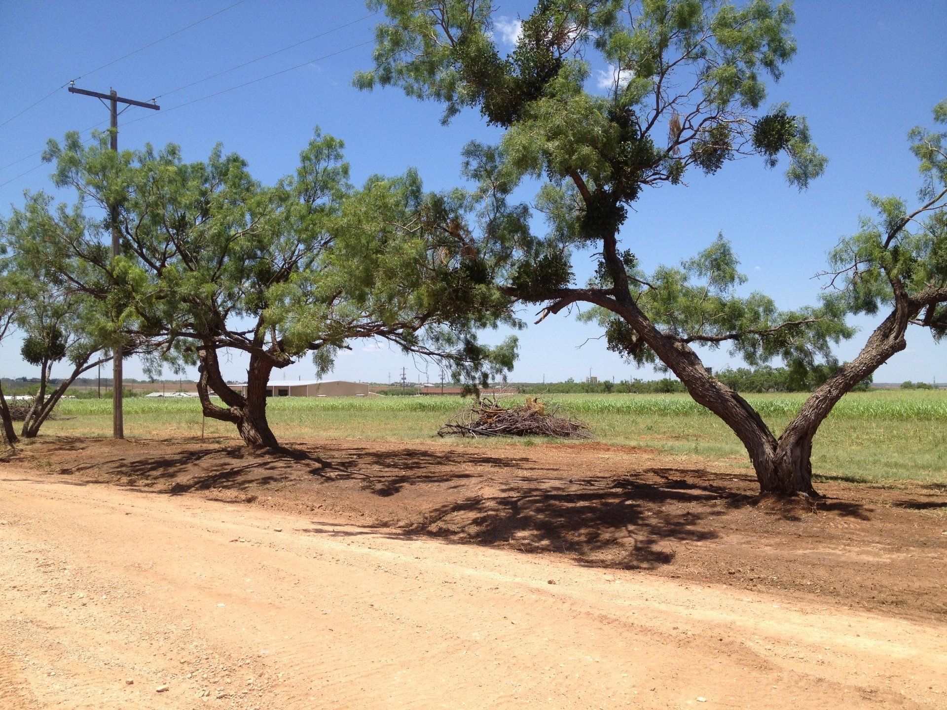 Land Home Packages in Midland, TX | Trinity Homes