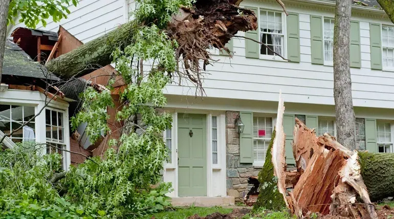 A tree has fallen on a house during a storm.
