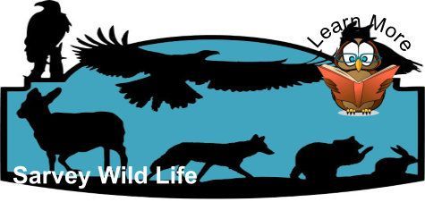 A logo for sarvey wild life with silhouettes of animals and an owl reading a book.