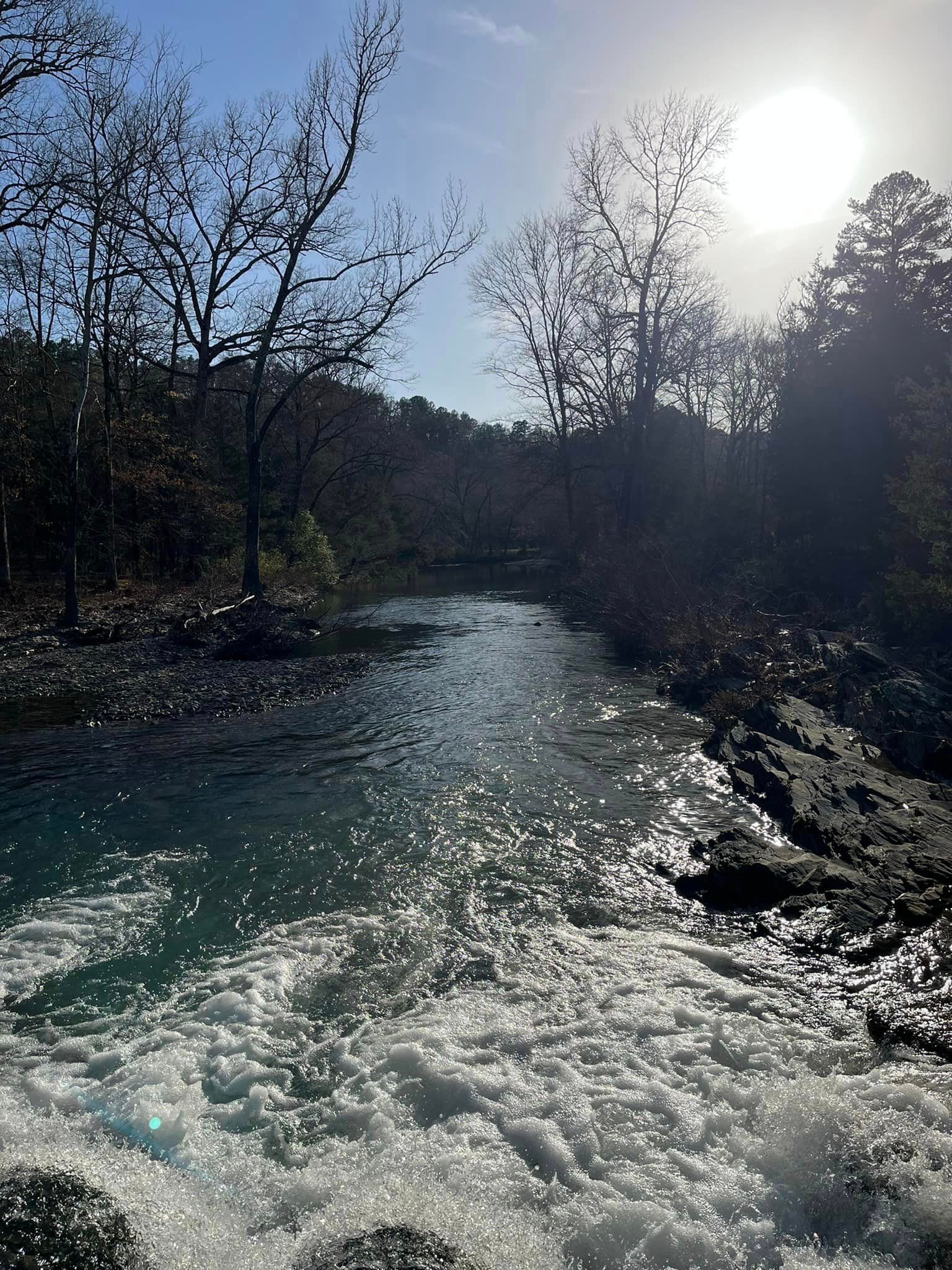 A river flowing through a forest on a sunny day