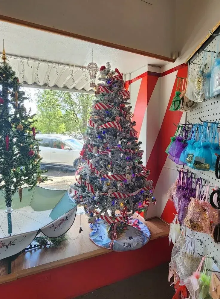 Christmas trees decorated inside a store window, one with red, white and blue ribbons.