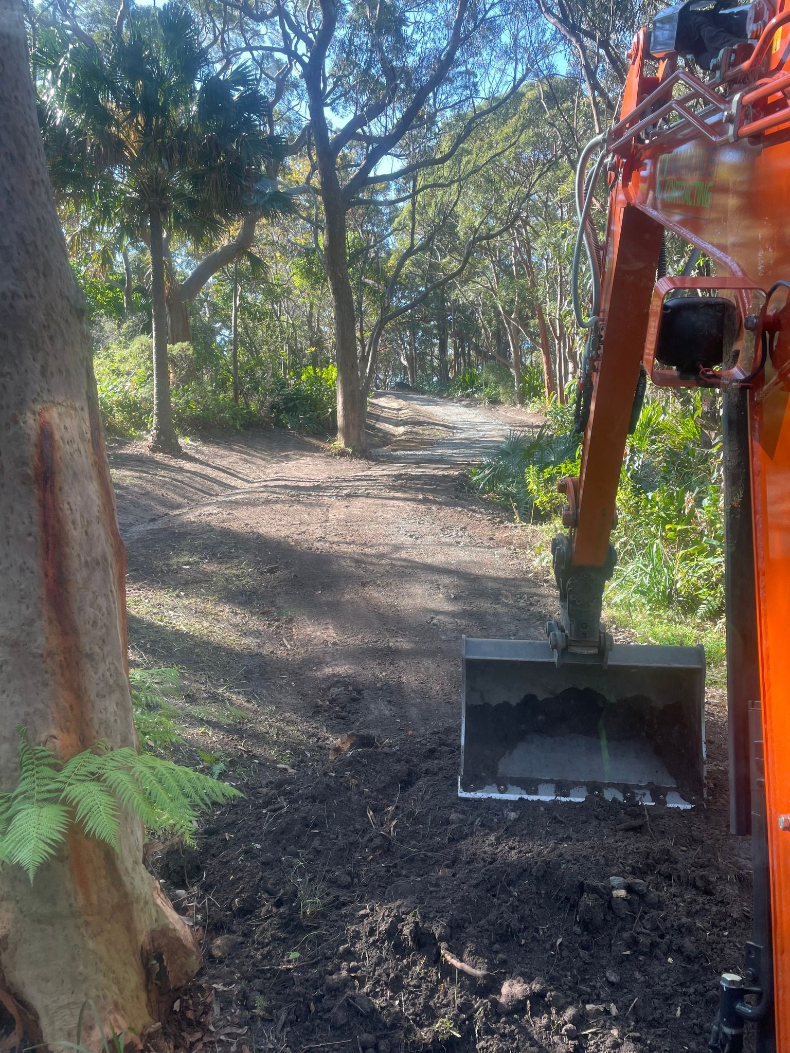 A bulldozer is digging a hole in the ground in a forest.