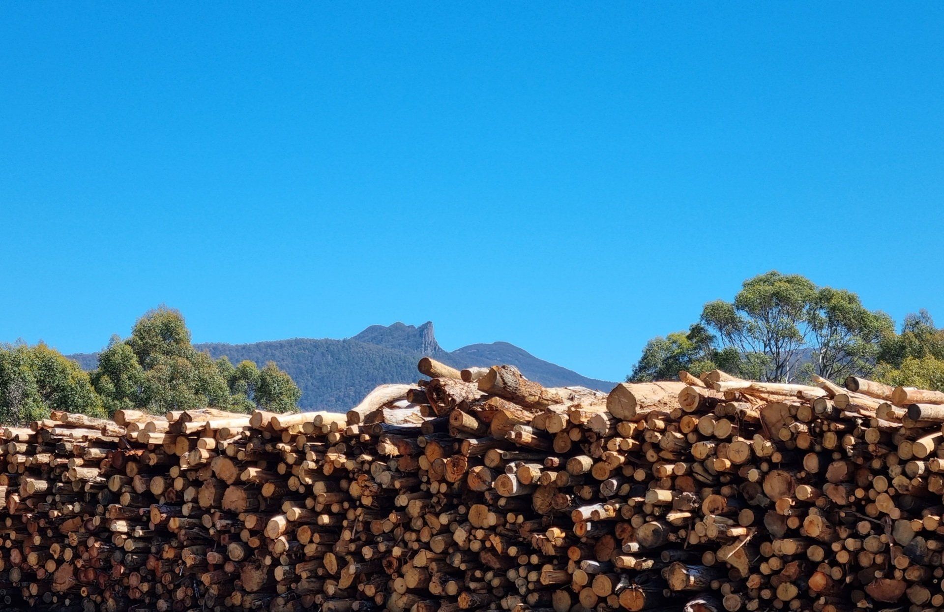 Delivery Truck — Hobart & Huonville, TAS — Leslie Vale Landscape & Gravel Supplies