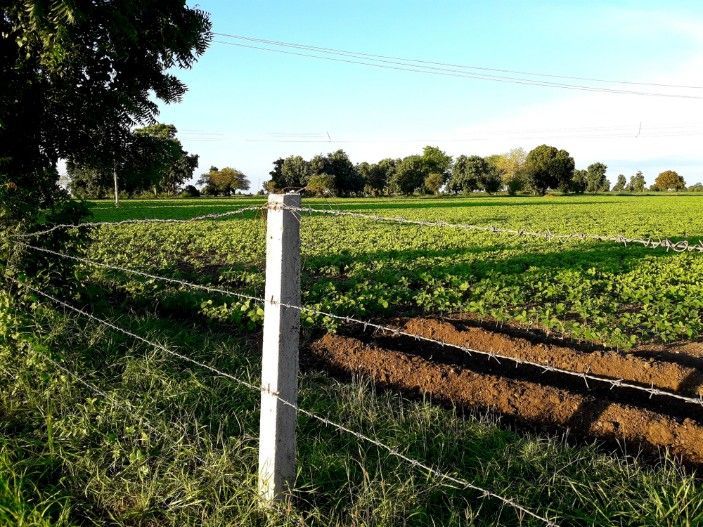 A Barbed Wire Fence Surrounds a Grassy Field — Barrington Coast Contracting in Gloucester, NSW