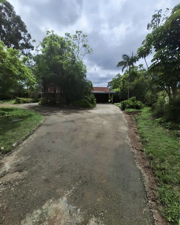 A Driveway Leading to a House Surrounded by Trees — Barrington Coast Contracting in Minimbah, NSW