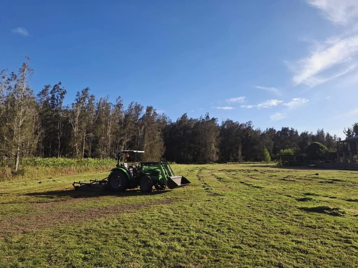 A Man is Cutting a Tree With a Crane — Barrington Coast Contracting in Gloucester, NSW