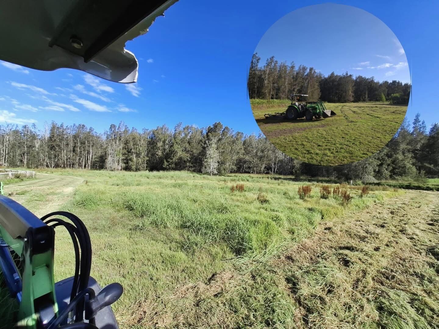 A Bulldozer is Moving Dirt in a Field With Trees — Barrington Coast Contracting in Bulahdelah, NSW